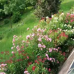 木之声住宿加早餐旅馆 4* 奥卡纳诺