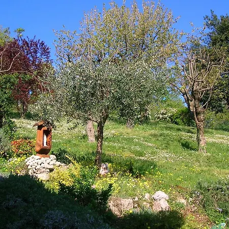 B&B Il Suono Del Bosco