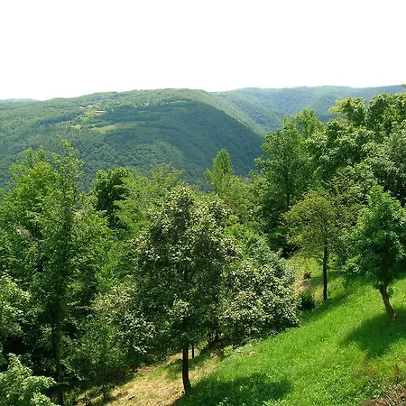 Il Suono Del Bosco Bed & Breakfast Arcugnano