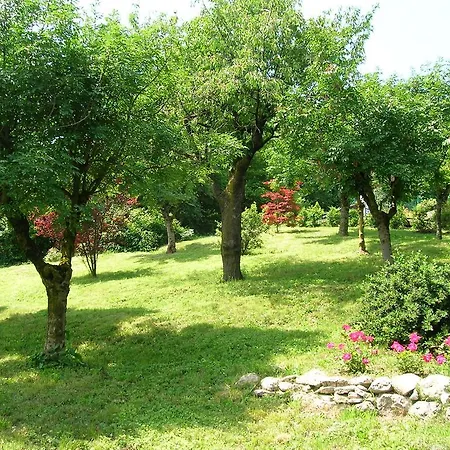 Il Suono Del Bosco