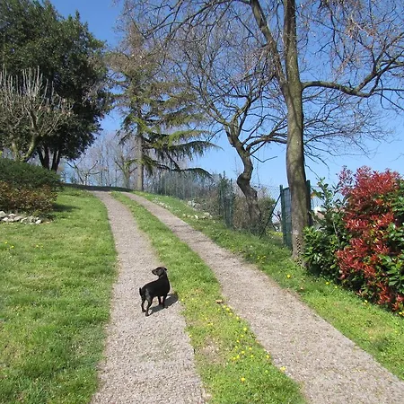 Bed & Breakfast Il Suono Del Bosco