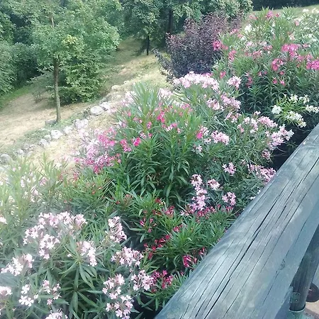 فندق مبيت وإفطار Il Suono Del Bosco