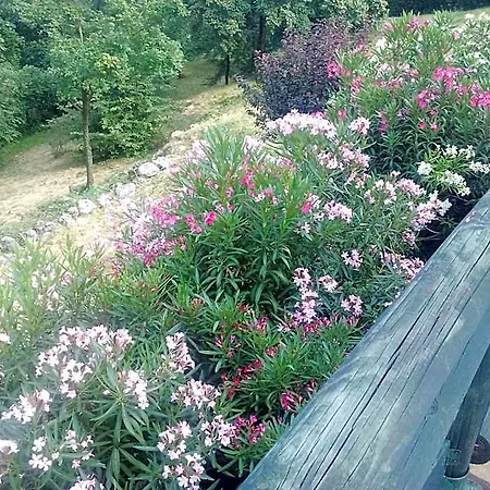 Il Suono Del Bosco Arcugnano