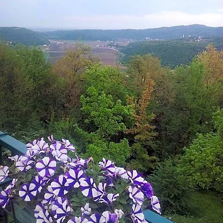 Il Suono Del Bosco 4*
