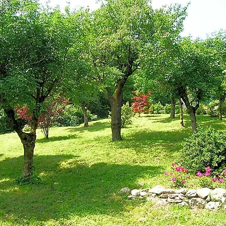 Il Suono Del Bosco