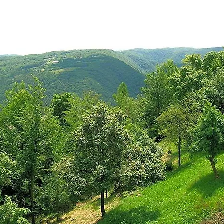 Il Suono Del Bosco