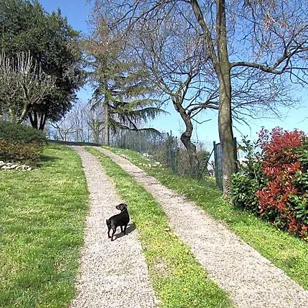Il Suono Del Bosco