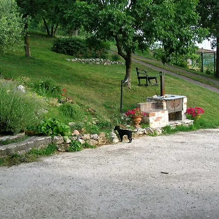 Il Suono Del Bosco 4*