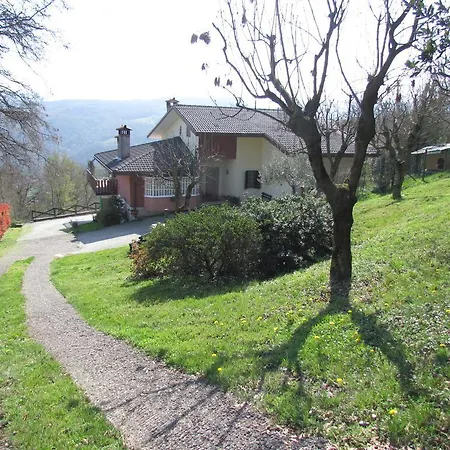 Il Suono Del Bosco