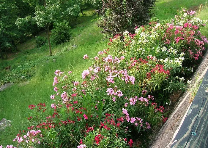 Il Suono Del Bosco 4* Arcugnano