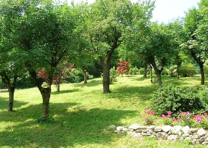Il Suono Del Bosco